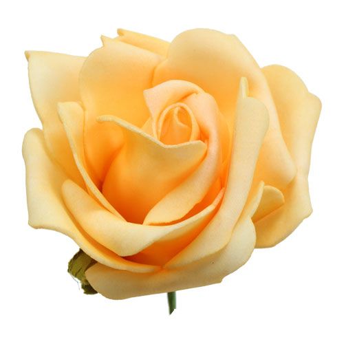 daiktų Putplasčio rožė Ø 8cm abrikosas 18p