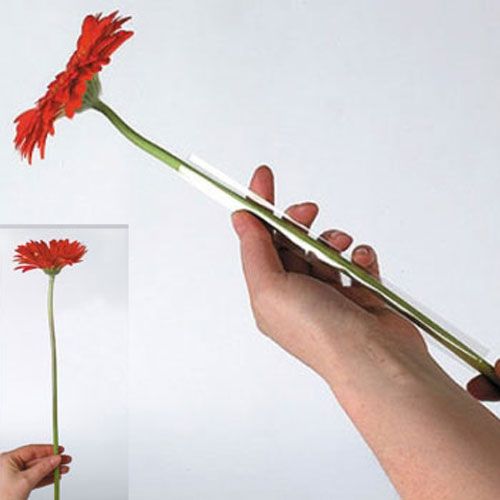 daiktų Gerbera atraminė žarna 17mm, 200m