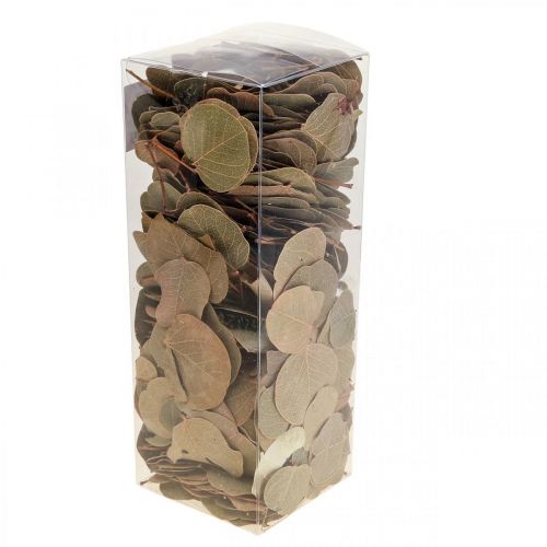 daiktų Džiovintų lapų dekoravimas Moneta dry floristry nature 200g