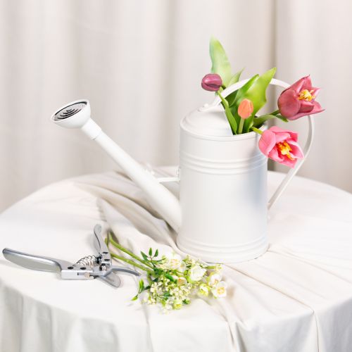 daiktų Laistytuvas su nuimama rožės galvute. Idealiai tinka kambariniams augalams ir balkonams. 32 cm.