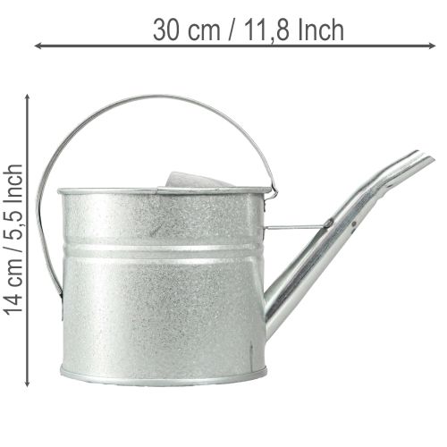 Vintažinė dekoratyvinė laistytuvė, metalinė, sidabrinė, 1,25 l vazonas | Floristik24.lt