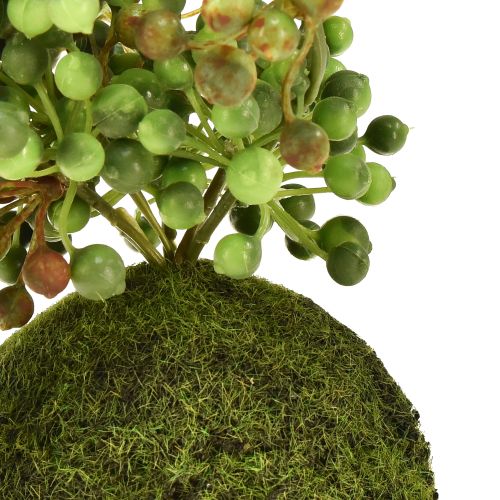 daiktų Žaliųjų augalų dirbtinių perlų virvelė samanų rutulyje 38cm