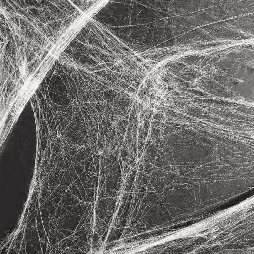 Floristik24 Helovino dekoracija voratinklis 70×100cm 150g