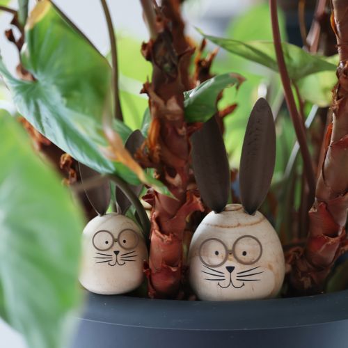 daiktų Kiaušinio formos triušio dekoratyvinė figūrėlė su personažu pavasario ir sezoninei dekoracijai, 14 cm, 3 dalys