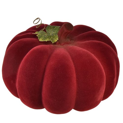 daiktų Rudens puošmena moliūgų flokuota raudona bordo - moliūgų puošmena unikaliai rudens atmosferai 32cm