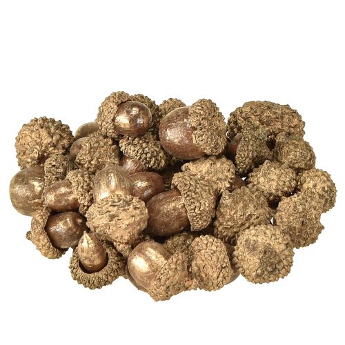 Floristik24 Auksiniai rudens vaisiai, šventinės rudens dekoracijos, natūralios dekoratyvinės gilės, Advento dekoracijos Ø1,5 – 2,5 cm I1,5 – 3 cm 300 g