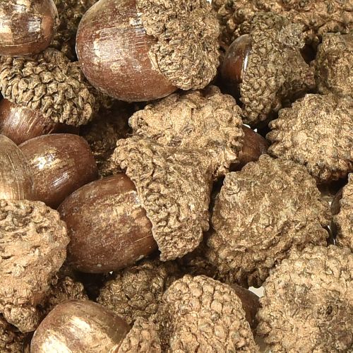 daiktų Auksiniai rudens vaisiai, šventinės rudens dekoracijos, natūralios dekoratyvinės gilės, Advento dekoracijos Ø1,5 – 2,5 cm I1,5 – 3 cm 300 g