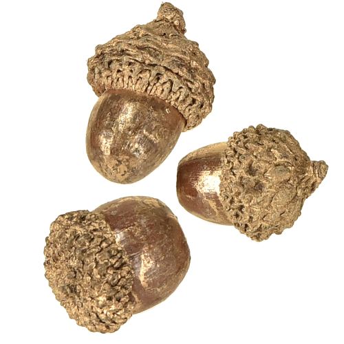 daiktų Auksiniai rudens vaisiai, šventinės rudens dekoracijos, natūralios dekoratyvinės gilės, Advento dekoracijos Ø1,5 – 2,5 cm I1,5 – 3 cm 300 g