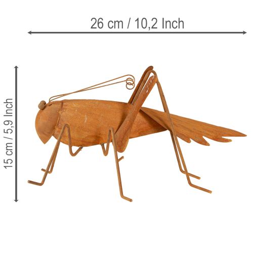 daiktų Žiogas sodo dekoracija, rūdžių spalvos metalas, laisvai pastatoma dekoracija, 26 cm