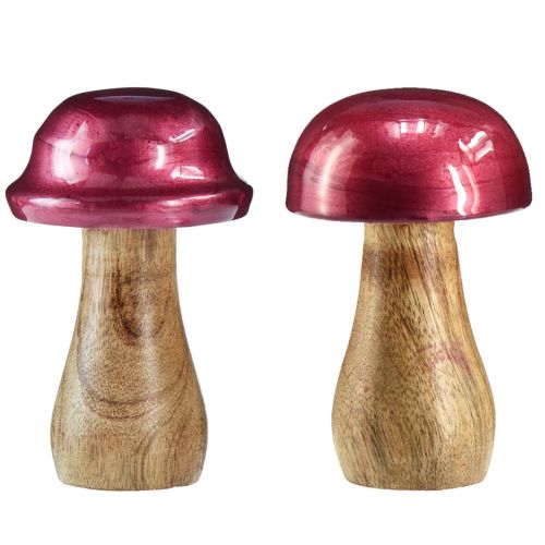 Mediniai grybai dekoratyviniai grybai medžio raudoni blizgūs Ø6cm H10cm 2vnt
