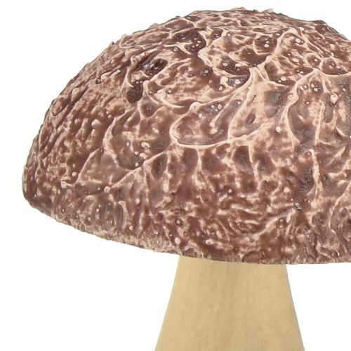 daiktų Mediniai grybai dekoratyviniai grybai stalo puošmena rudeniniai rudi natūralūs 5×6cm 8 vnt