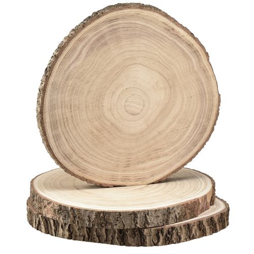 Floristik24 Mediniai diskai medžio diskas Paulownia natural Ø26-28cm 3 vnt