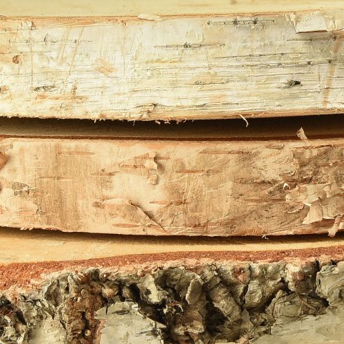 Floristik24 Mediniai diskai beržo mediena su žievės medžio diskais Ø20-22cm 3 vnt