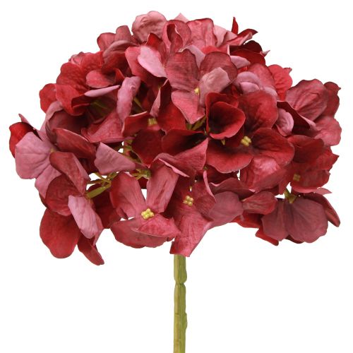 daiktų Hortenzija dirbtinė bordo didelė gėlė Ø15cm L58cm 2vnt