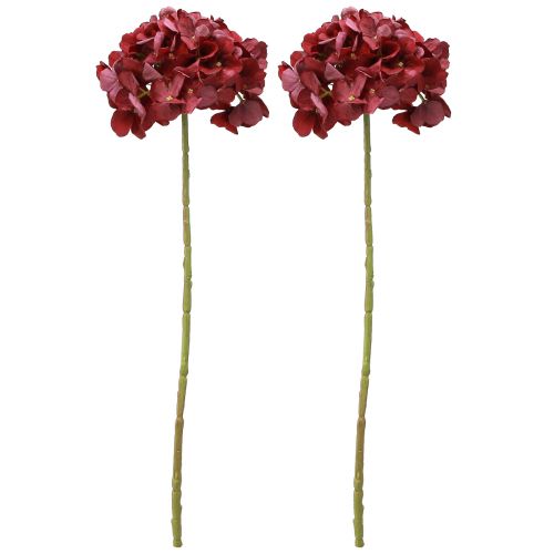 daiktų Hortenzija dirbtinė bordo didelė gėlė Ø15cm L58cm 2vnt