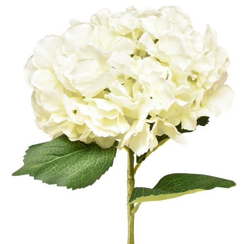 Floristik24 Dirbtinė hortenzija, milžiniška, dekoratyvinė gėlė, balta, Ø23cm, ilgis 84cm