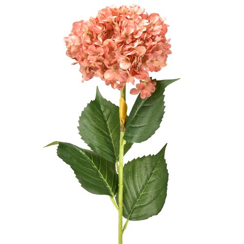 Floristik24 Hortenzija rožinė 80 cm 1 vnt.