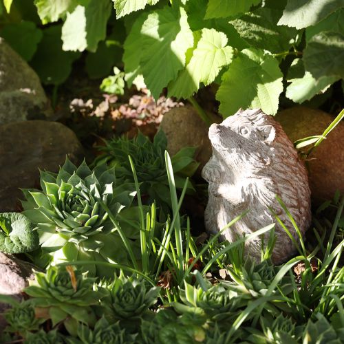 Ežio rudens dekoracijos figūrėlė, lieto akmens, baltai nuskalbta, aukštis 14,5 cm