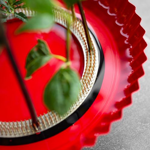 daiktų Kenzan žiedų įdėjimo priemonė žalvarinėms adatoms įdėti Ø150mm