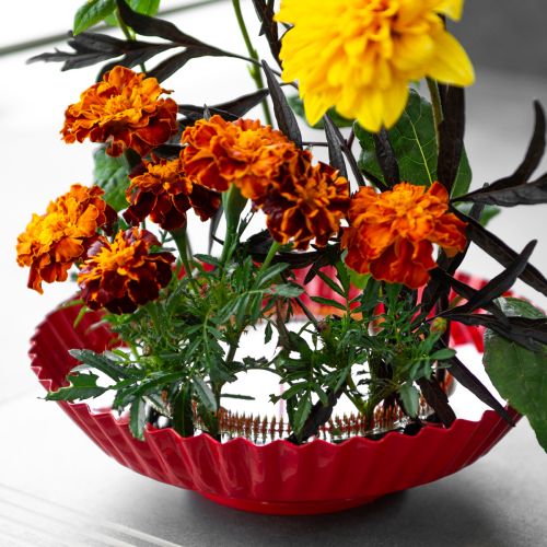 daiktų Kenzan žiedinis smeigtukų įrankis žalvarinis smeigtukų įrankis Ø150mm