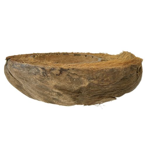 daiktų Kokoso kaip augalo dubenėlis natūralus augalų vazonas 20cm 5 vnt