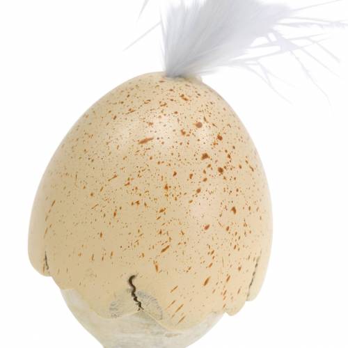 daiktų Viščiuko kiaušinio lukšte baltymas, kremas 6cm 6vnt