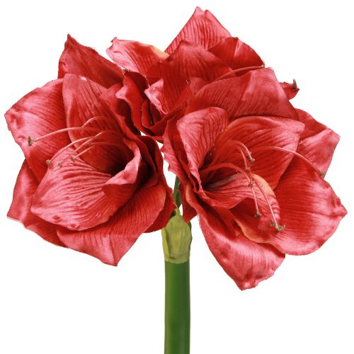 daiktų Dirbtinis amarilis Dirbtinės gėlės Raudona Ø18cm L68cm 2vnt