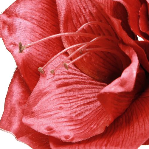daiktų Dirbtinis amarilis Dirbtinės gėlės Raudona Ø18cm L68cm 2vnt