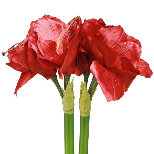 daiktų Dirbtinis amarilis Dirbtinės gėlės Raudona Ø18cm L68cm 2vnt