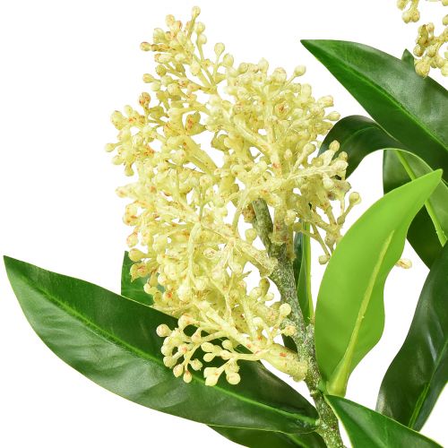 daiktų Dirbtinių gėlių kremas Skimmia japonica Skimmie 45cm 2vnt
