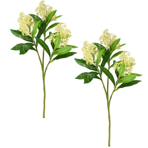 daiktų Dirbtinių gėlių kremas Skimmia japonica Skimmie 45cm 2vnt
