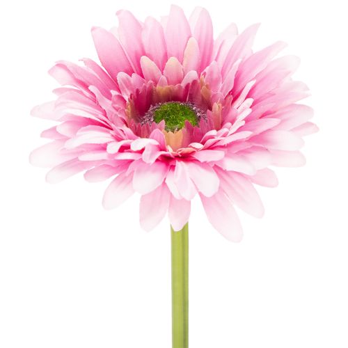 Dirbtinės gerberos sodo gėlės, rožinės, 47 cm, 6 vnt. pirkti | Floristik24.lt