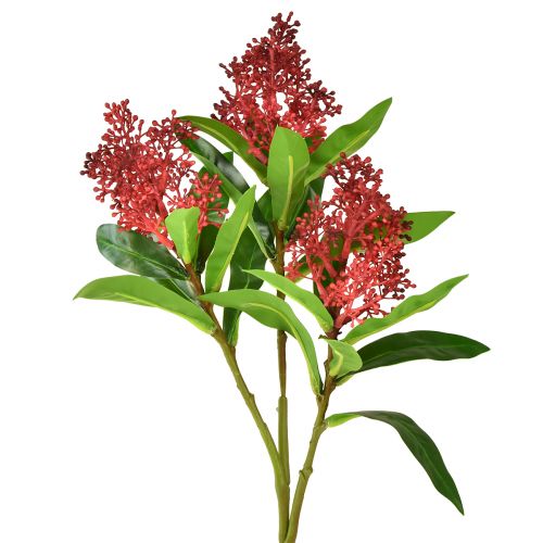 daiktų Dirbtinės gėlės Raudona Skimmia japonica Skimmie 45cm 2vnt