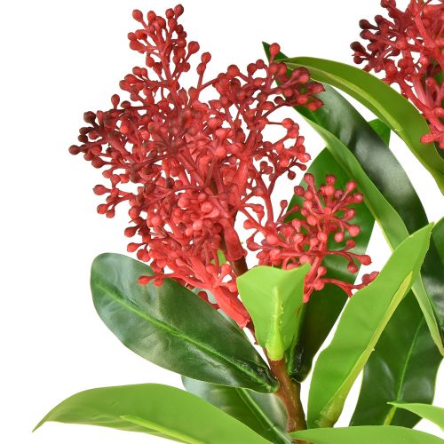 daiktų Dirbtinės gėlės Raudona Skimmia japonica Skimmie 45cm 2vnt