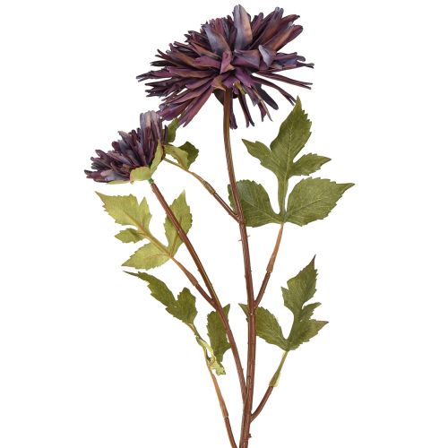 daiktų Dirbtinė chrizantema 2 žiedai violetiniai Ø5/11cm L70cm