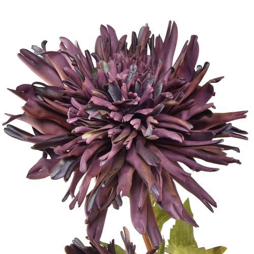 daiktų Dirbtinė chrizantema 2 žiedai violetiniai Ø5/11cm L70cm