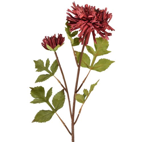 daiktų Dirbtinė chrizantema bordo spalvos Ø5cm/Ø11cm L70cm