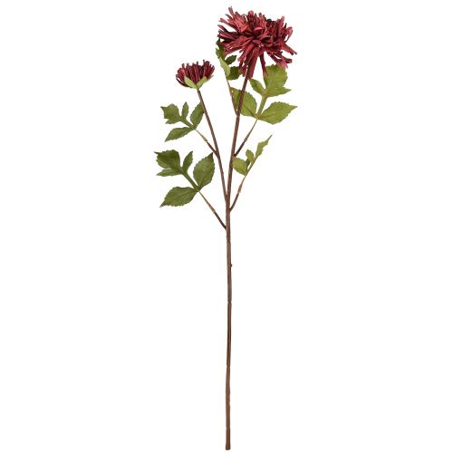 daiktų Dirbtinė chrizantema bordo spalvos Ø5cm/Ø11cm L70cm