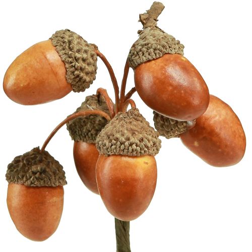 Floristik24 Dirbtinės gilės ant vielos dekoravimui rudens vainikui 3cm 6 vnt
