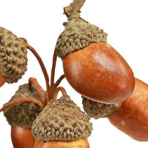 Floristik24 Dirbtinės gilės ant vielos dekoravimui rudens vainikui 3cm 6 vnt