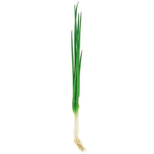 daiktų Dirbtiniai laiškiniai svogūnai dekoratyvinės daržovės L30cm 4 vnt