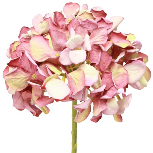 daiktų Dirbtinė hortenzija didelė rausvai violetinė Ø15cm L58cm 2vnt
