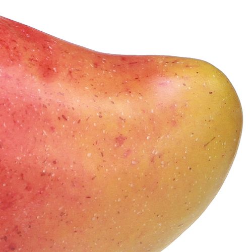 daiktų Dirbtinis Mango Red, Yellow Realistic Food Dummy 15cm