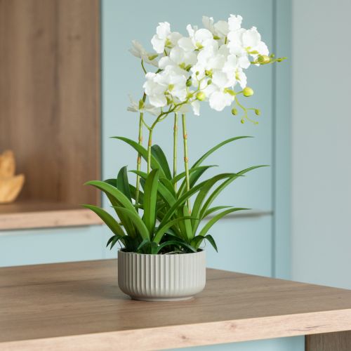 Floristik24 Dirbtinės orchidėjų dirbtinės gėlės vazone baltas 60cm