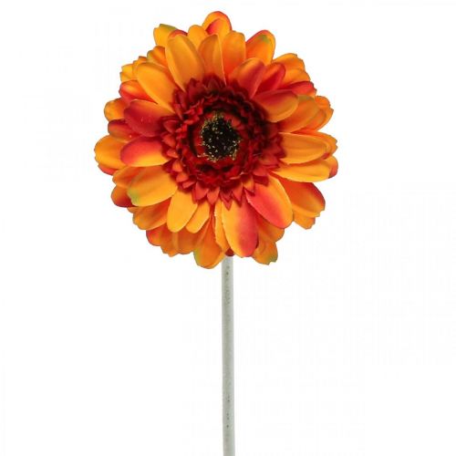 Floristik24 Dirbtinė gerberos gėlė, dirbtinė gėlė oranžinė Ø11cm 50cm