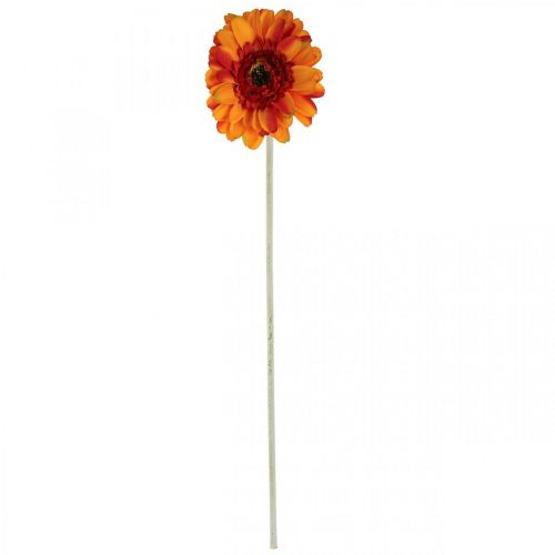 daiktų Dirbtinė gerberos gėlė, dirbtinė gėlė oranžinė Ø11cm 50cm