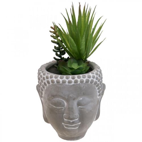 daiktų Dirbtinis sultingas gėlių vazonas Buddha Ø12cm H25cm