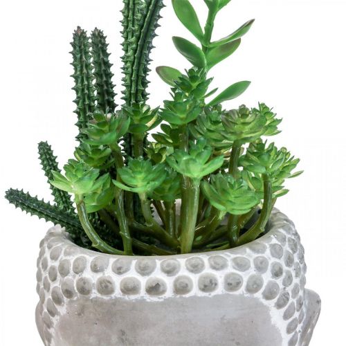 Floristik24 Dirbtinis sultingas gėlių vazonas Buddha Ø12cm H24cm