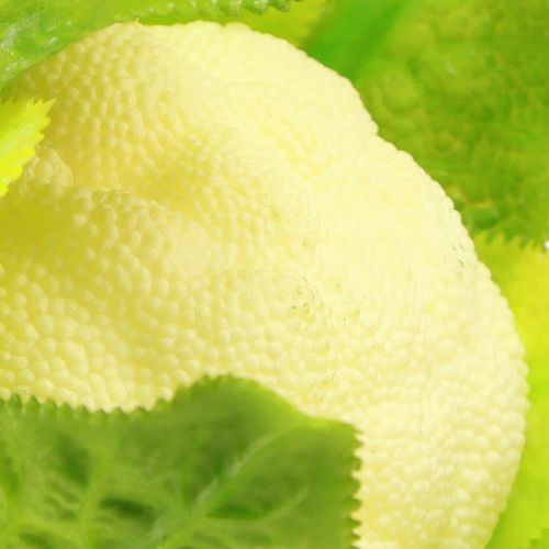 daiktų Dirbtinė žiedinių kopūstų daržovių puošmena balta žalia Ø9cm H15cm