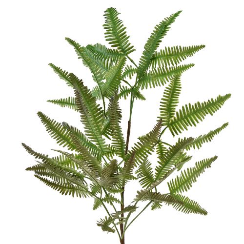 daiktų Dirbtinis papartis dirbtinis augalas paparčio lapai žali 44cm